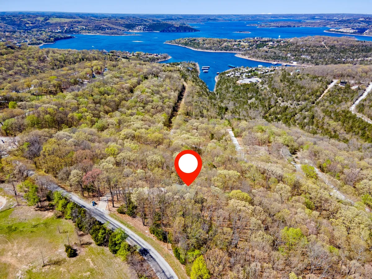 A picturesque view featuring lush greenery, a calm lake, and a winding road leading into the woods. The landscape is serene and inviting, suggesting countless opportunities for hiking, boating, and wildlife observation. The late afternoon light hints at the possibility of beautiful sunsets over the water.