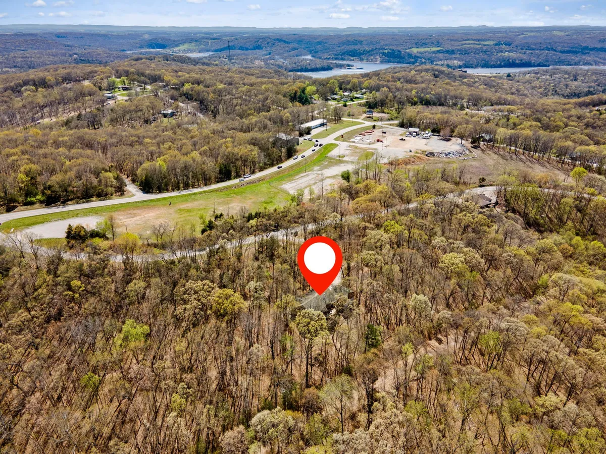 A scenic view featuring lush greenery, a winding road, distant hills, and a tranquil water body. The landscape is perfect for long walks, birdwatching, and picnics, with ample space for dogs and their owners to roam and relax.