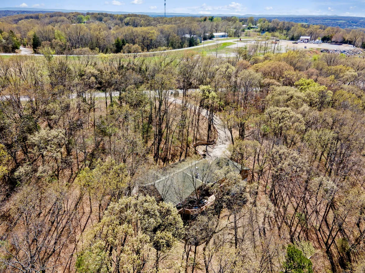 A peaceful wooded area surrounds a house, with a winding road leading through the trees. The environment feels calm and secluded, ideal for nature walks, hiking, and wildlife spotting. The sunlight filtering through the woods enhances the sense of tranquility and connection to nature.