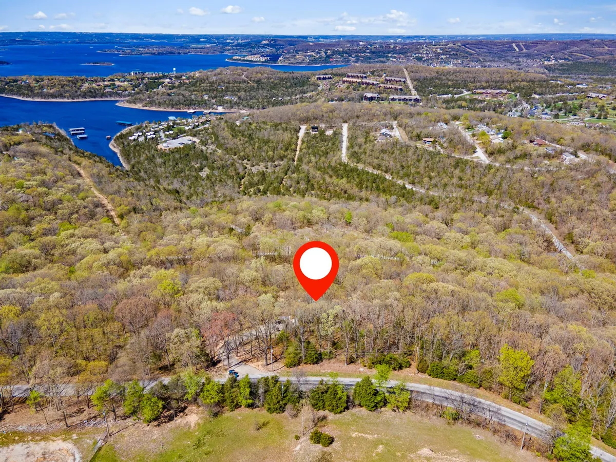 A panoramic exterior view featuring a dense forest, a curving road, and glimpses of a lake in the distance. The scene is tranquil, highlighting opportunities for hiking, nature exploration, boating, and family picnics in the Ozarks region.
